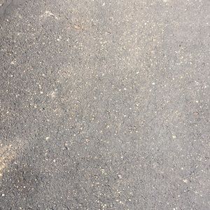 Meet your Posher, Charles